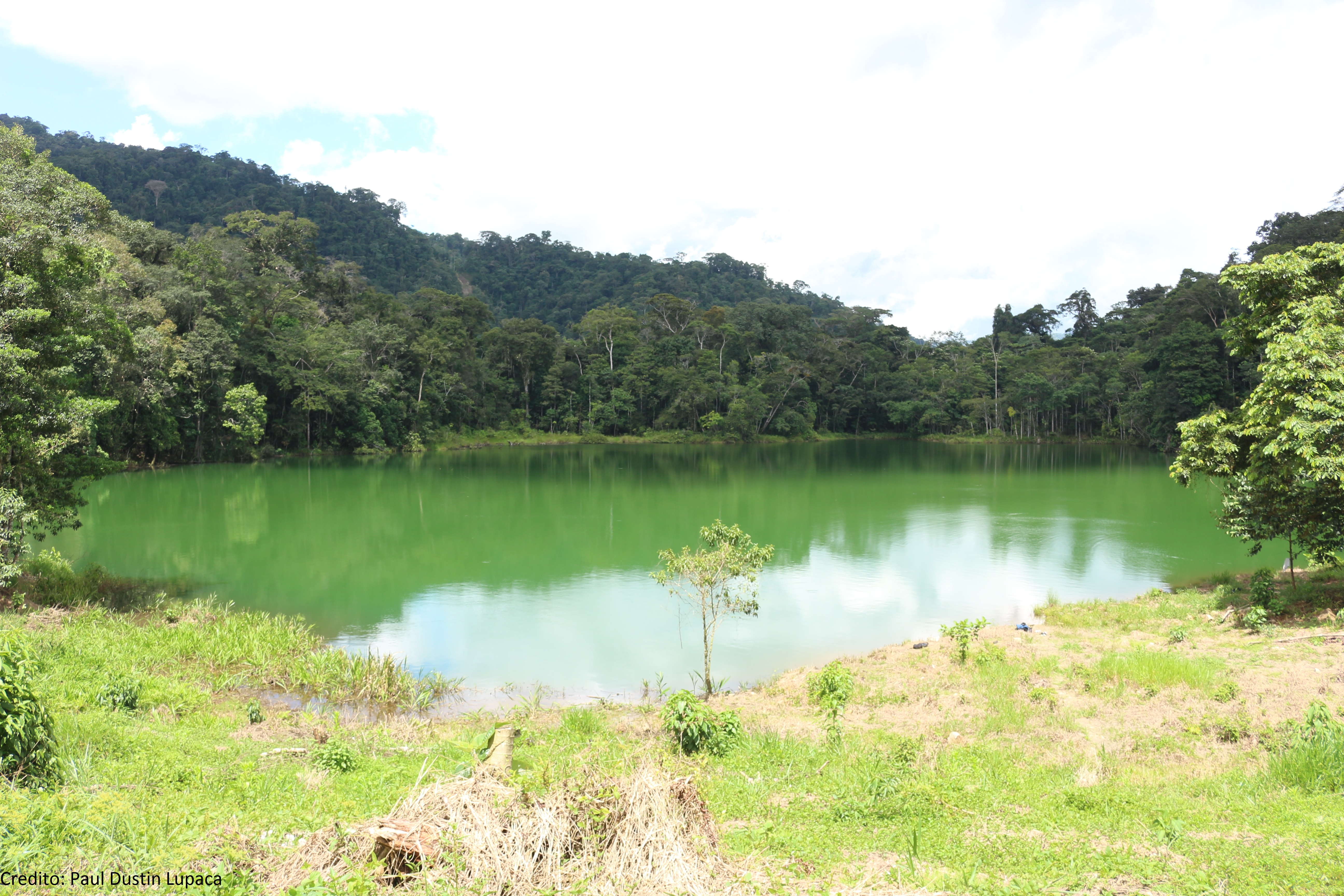 Agencia de Campanilla